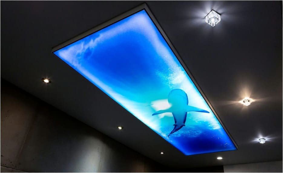 Bedruckte Lichtdecke mit Haimotiv in der Ausstellung in Bruchsal