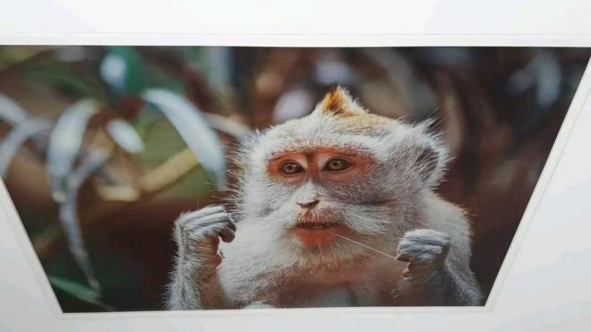 Bedruckte-Motiv-Spanndecke-Ciling